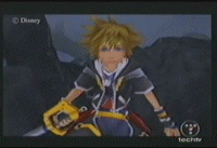 la c sora en pleine action.